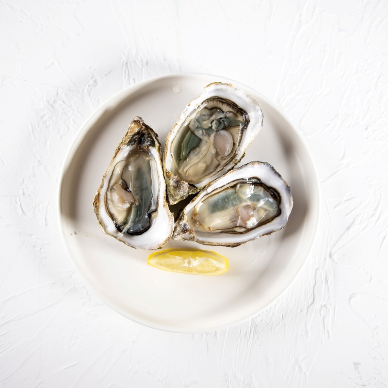 French Oyster L'emeraude N1／N2 12P-【OFLE01B】