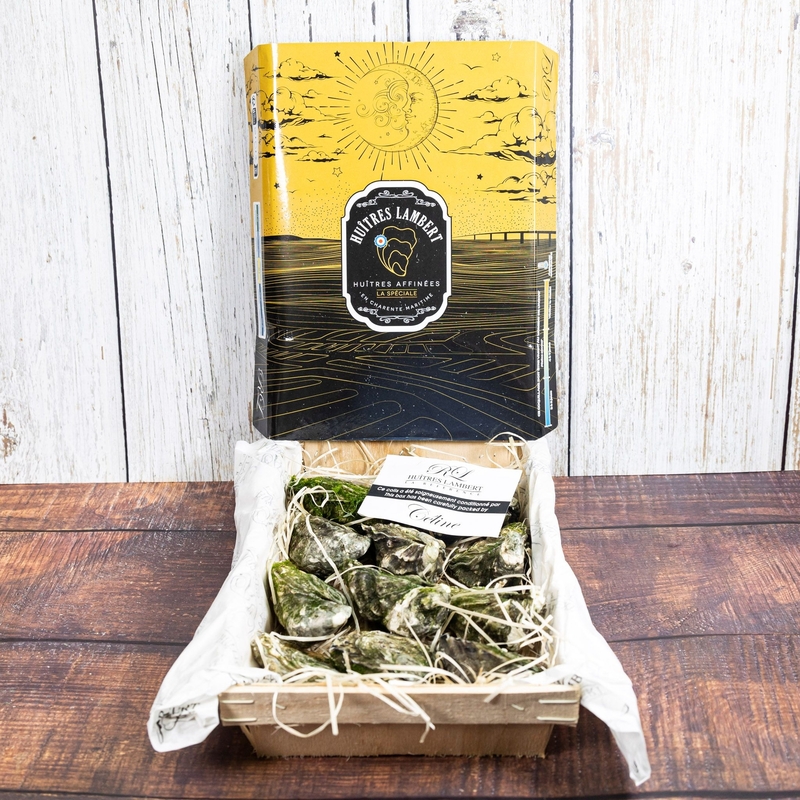 法國生蠔 特級芬大奇(Special de Claire) N0／N1／N2 12P【OFSD00／OFSD01／OFSD02】