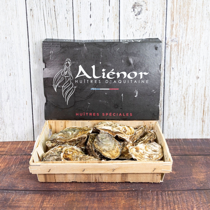 French Oyster Special Alienor N1／N2 12P【OFSAL01／OFSAL02】