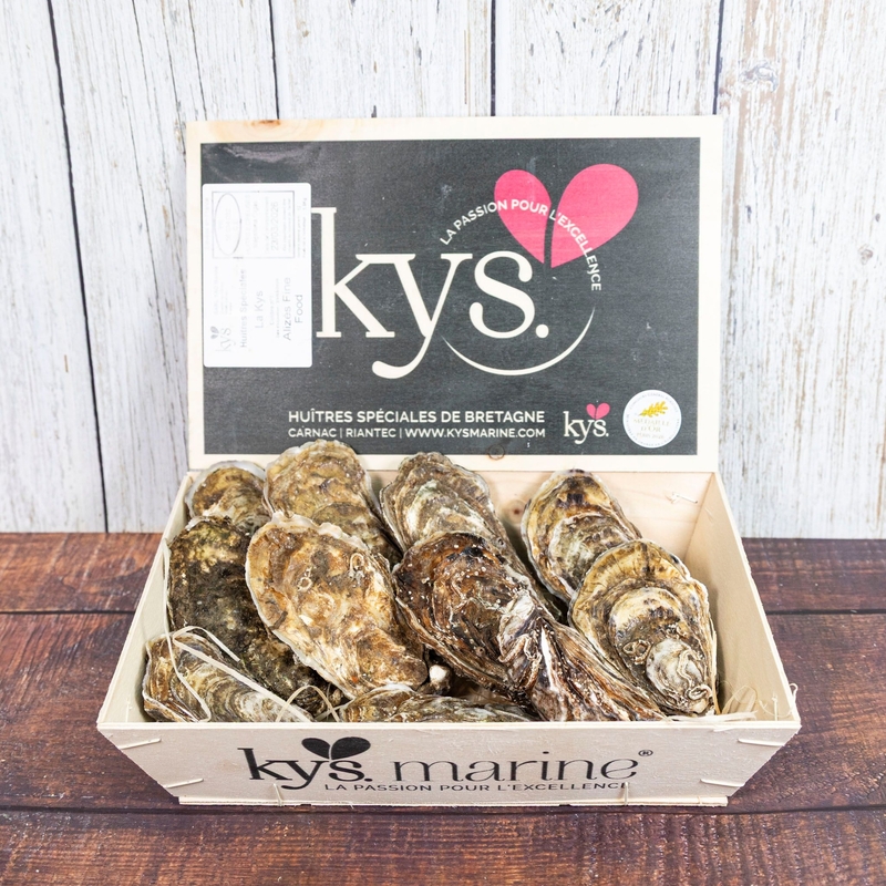 French Oyster KYS Marine N1／N2 12P【OFKM01／OFKM02】