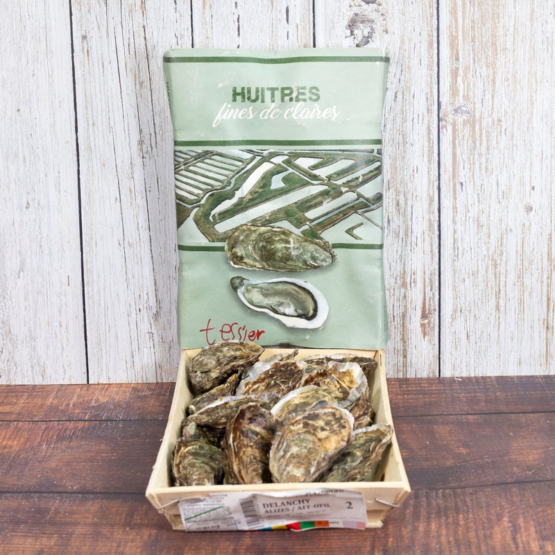 French Oyster Fine Tessier N1／N2 12P【OFFT01／OFFT02】