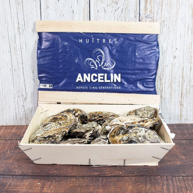 French Oyster Special Ancelin N1／N2 12P【OFSAN01／OFSAN02】