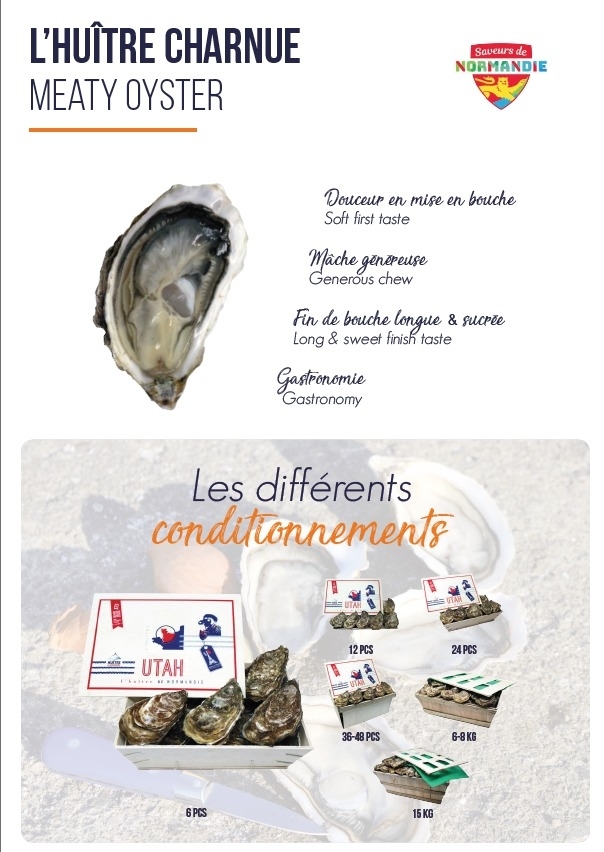 Designated French Oysters - Pre-order Special 15% OFF (Order today, delivery as early as next Thursday (for the whole order))