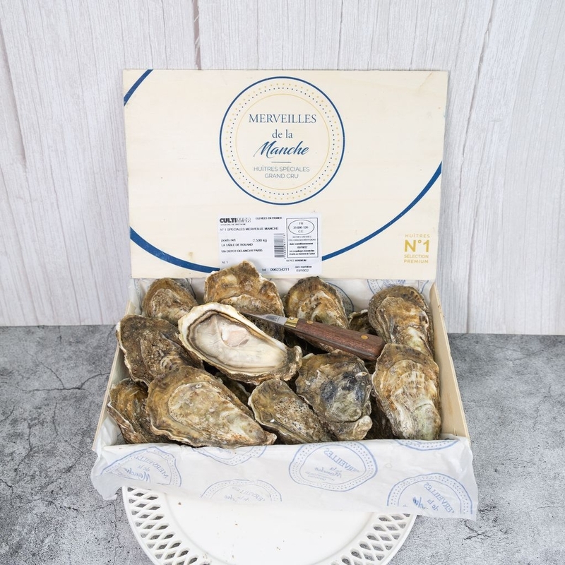French Oyster Manche N1／N2 12P【OFMM01／OFMM02】