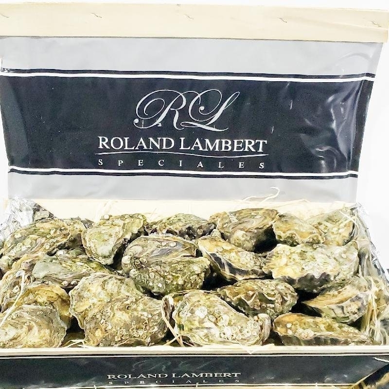 French Oyster Oyster Speciales Lambert N1／N2 12P【OFLA01／OFLA02】