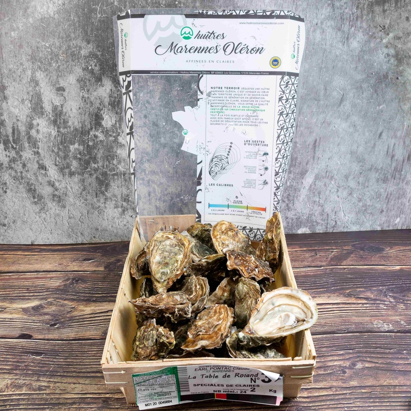 French Oyster Special de Claire N0／N1／N2 12P【OFSD00／OFSD01／OFSD02】
