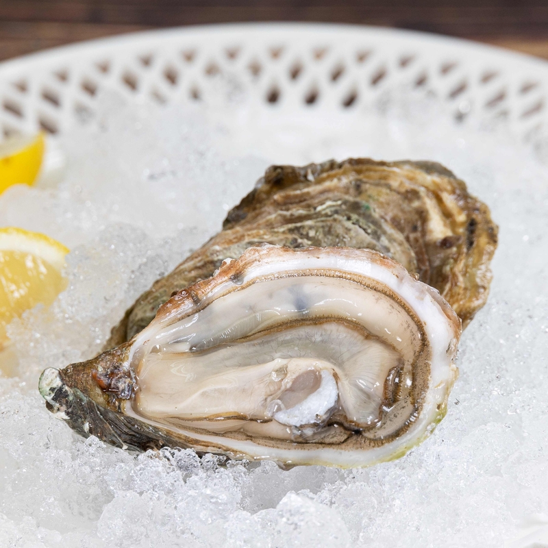 French Oyster Special de Claire N0／N1／N2 12P【OFSD00／OFSD01／OFSD02】